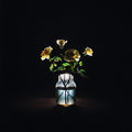 Billy Strings - Renewal (New CD)