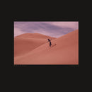 Bing-ruth-species-new-vinyl