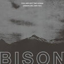 Bison-you-are-not-the-ocean-you-are-new-vinyl
