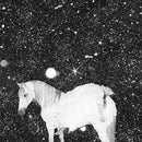 Black Lips - Apocalypse Love (New Vinyl)