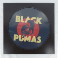 Black-pumas-black-pumas-picture-disc-new-vinyl