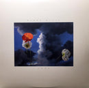 Blake-mills-look-new-vinyl