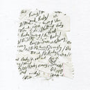 Body/Dilloway/Head - Body/Dilloway/Head (New Vinyl)