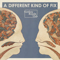 Bombay Bicycle Club - A Different Kind Of Fix (New Vinyl)