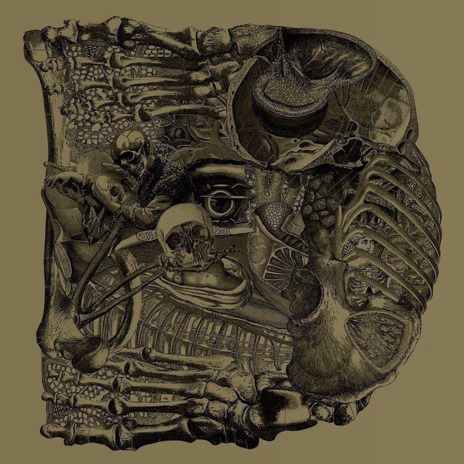 Boris-dear-new-vinyl