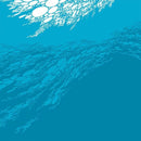 Boris - Flood (2LP) (New Vinyl)