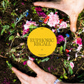 Braids - Euphoric Recall (New CD)