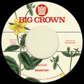 Brainstory - Seasons (New Vinyl)