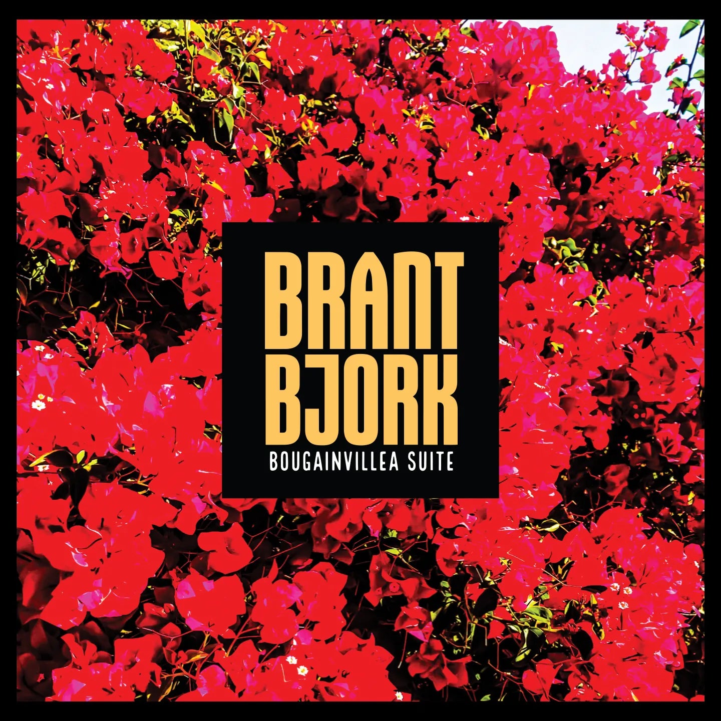 Brant Bjork - Bougainvillea Suite (New Vinyl)