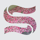 Braxe + Falcon - Step By Step EP (New Vinyl)