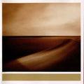 Brian Eno - Small Craft On A Milk Sea (2020 Reissue) (New Vinyl)