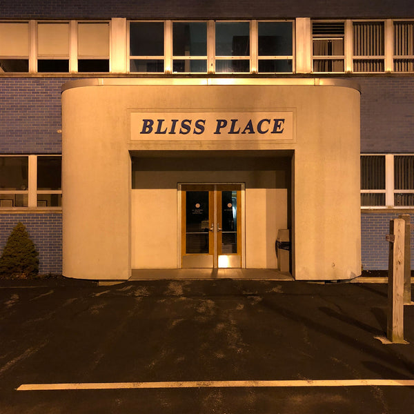 Brin & Josiah Steinbrick - Bliss Place (New Vinyl)