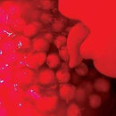 Broncho-bad-behavior-new-vinyl