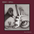 Built-to-spill-you-in-reverse-new-vinyl