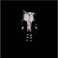 Bullet For My Valentine - Bullet For My Valentine (Deluxe Edition) (New Vinyl)