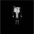 Bullet For My Valentine - Bullet For My Valentine (Dlx) (New CD)