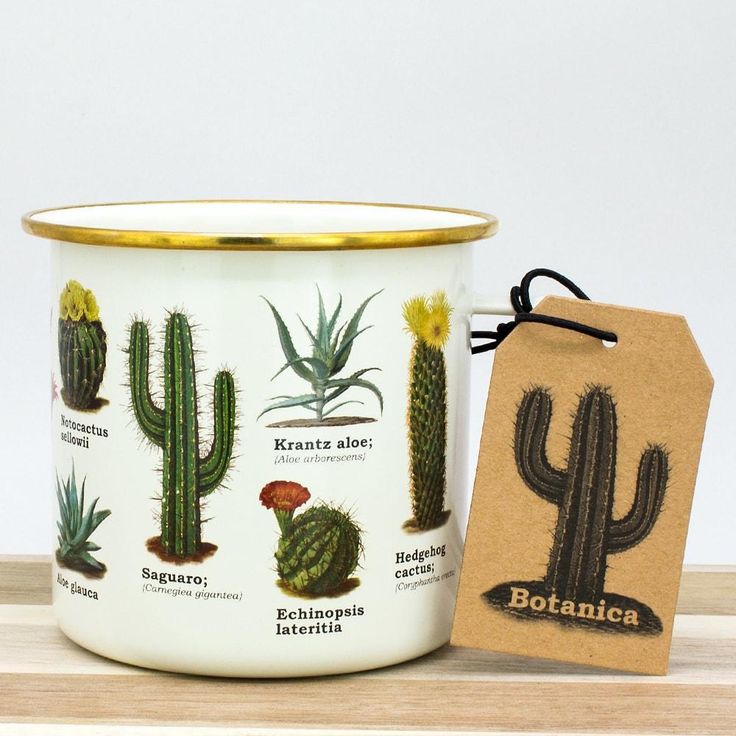 Cacti Enamel Mug