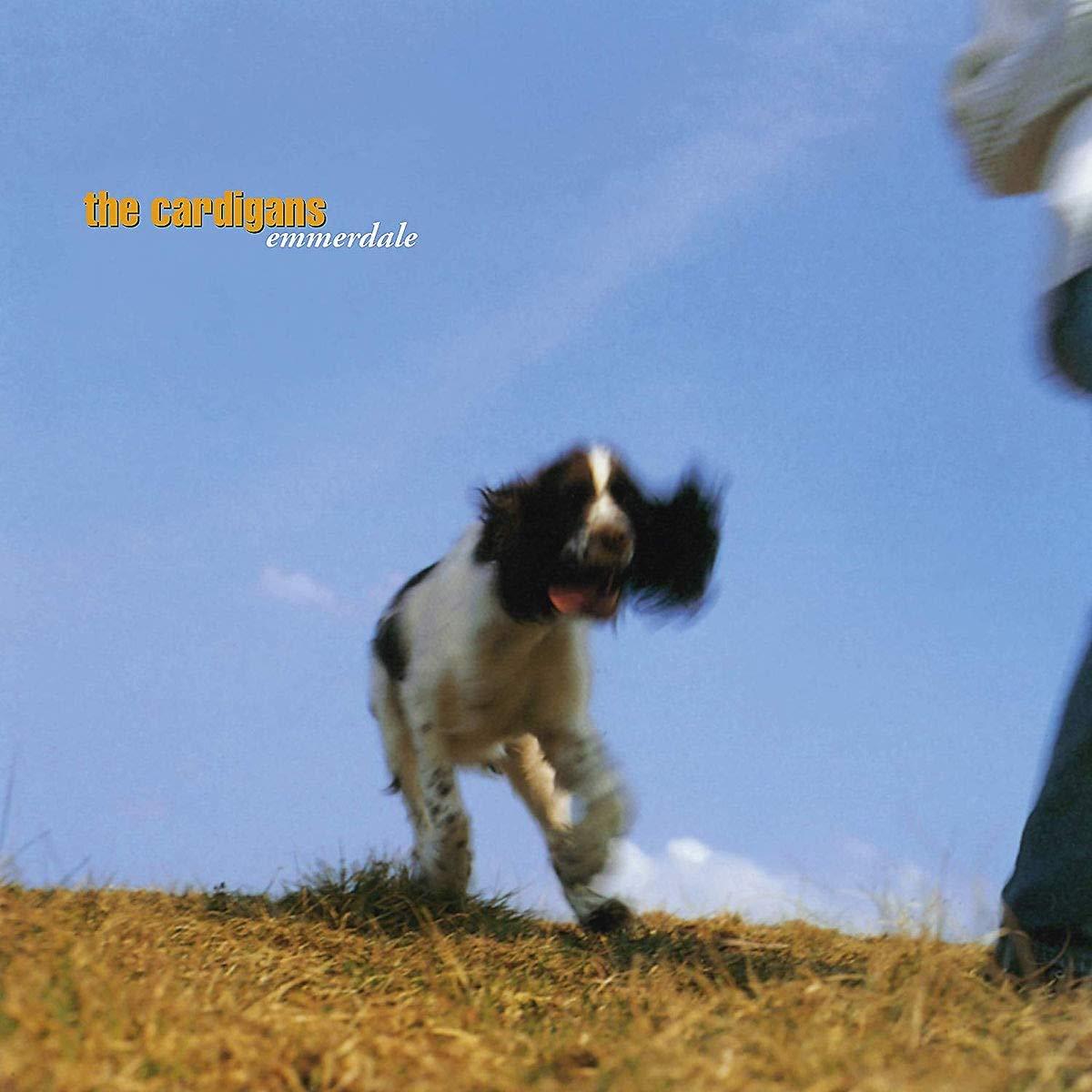 Cardigans-emmerdale-new-vinyl
