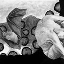 Casper Skulls - Mercy Works (New CD)