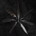 Caspian-dust-and-disquiet-new-vinyl