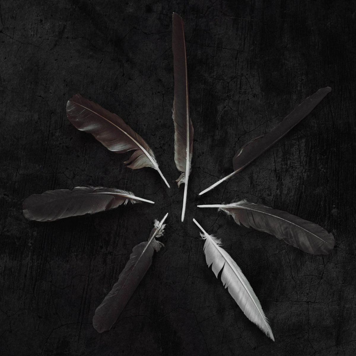 Caspian-dust-and-disquiet-new-vinyl