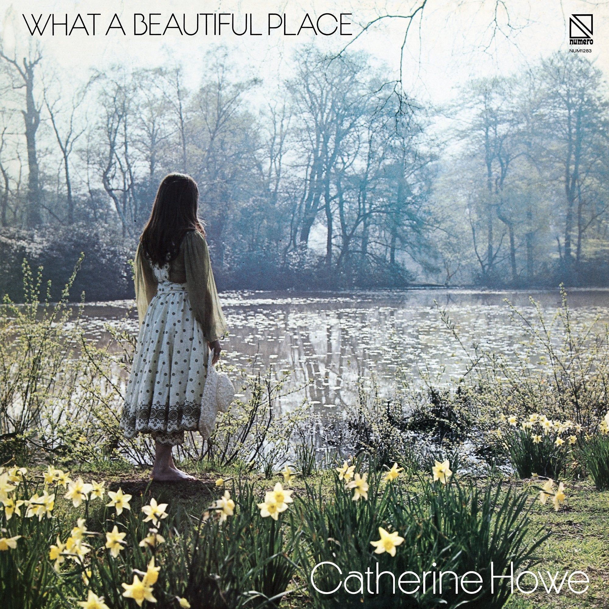 Catherine Howe - What a Beautiful Place (Ltd Yellow) (New Vinyl)