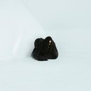 Chelsea-wolfe-hiss-spun-new-cd