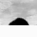 Chihei-hatakeyama-forgotten-hill-new-vinyl