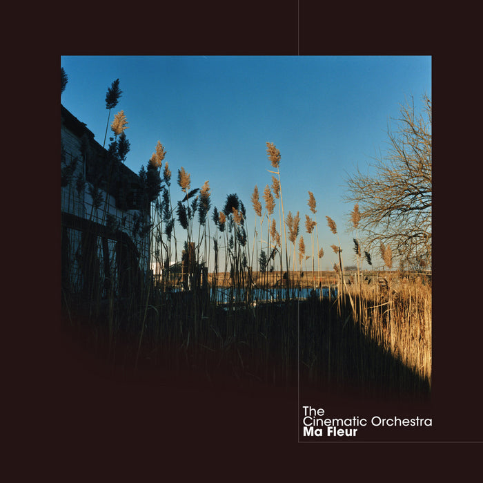 Cinematic-orchestra-ma-fleur-new-vinyl
