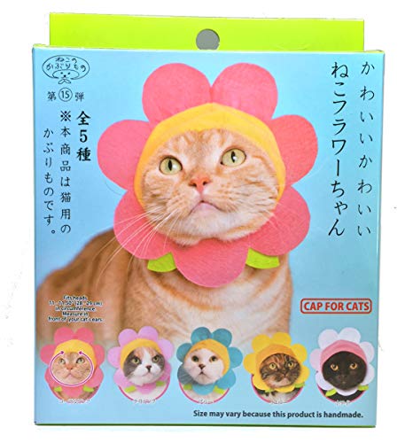 Clever Idiots Cap For Cats: Flower