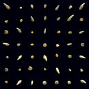 Clipping - Visions of Bodies Being Burned (New CD)