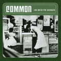 Common-like-water-for-chocolate-vinyl