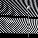 Craven-faults-erratics-and-unconformities-new-vinyl