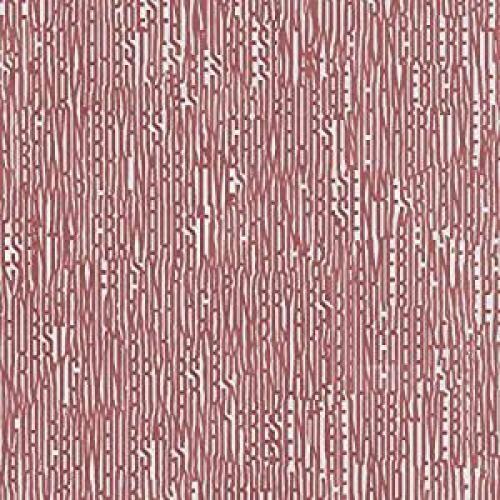 Crowhurst-gavin-bryars-incoherent-american-narrative-new-vinyl