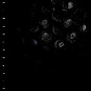 Crumb - Ice Melt (New CD)