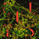 Cults-host-new-vinyl