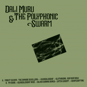 Dali Muru & the Polyphonic Swarm - Dali Muru & the Polyphonic Swarm (New Vinyl)