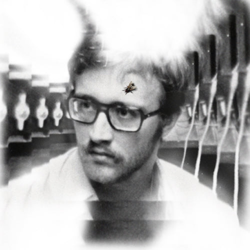 Damaged-bug-bug-on-yonkers-new-vinyl