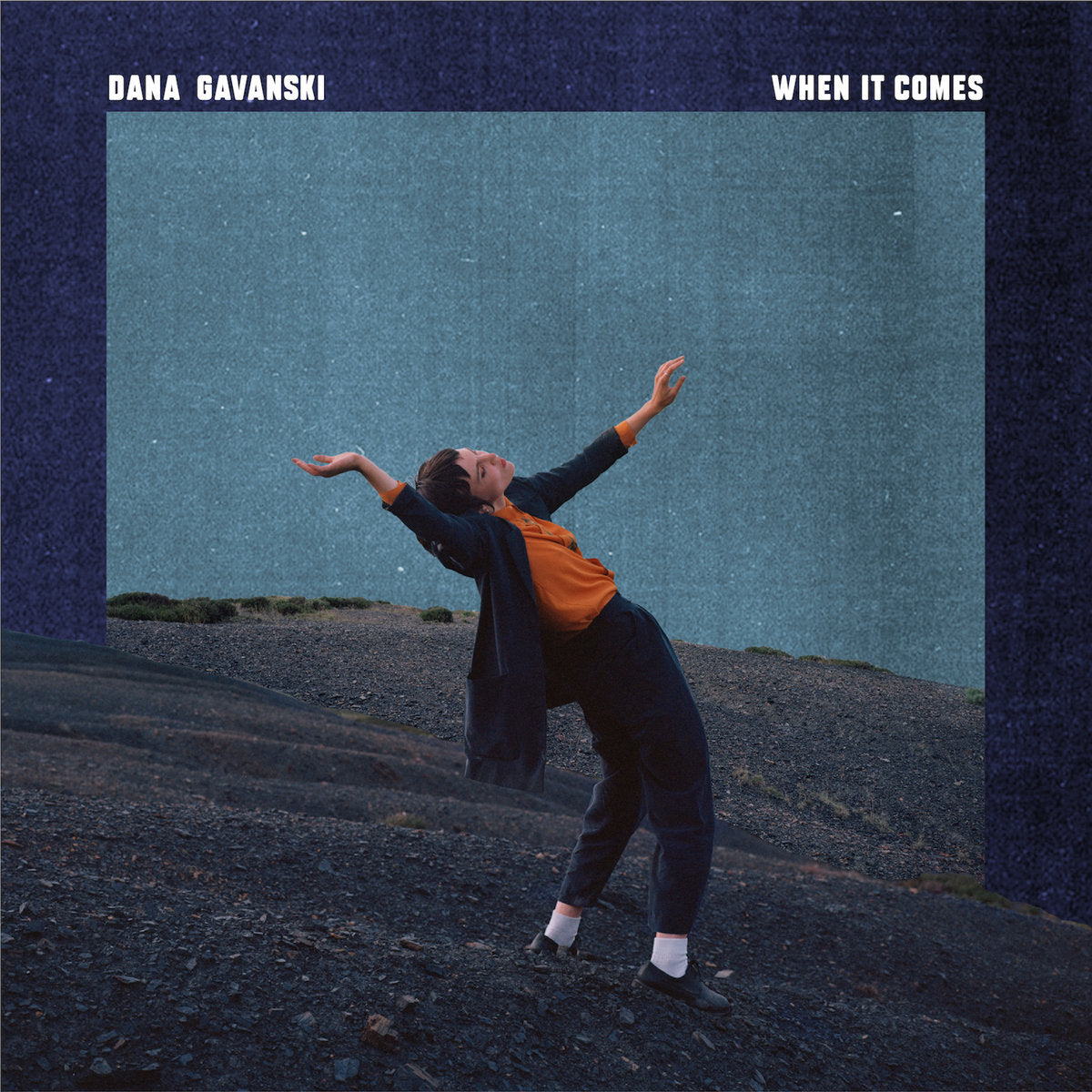 Dana Gavanski - When It Comes (New Vinyl)