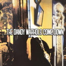 Dandy-warhols-come-down-new-vinyl