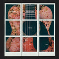 Dashboard Confessional - All The Truth That I Can Tell (New Vinyl)