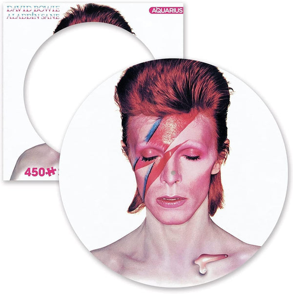 David Bowie - Alladin Sane (50th Anniversary Picture Disc) (New Vinyl)