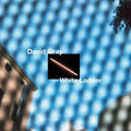 David-gray-white-ladder-white20th-ann-new-vinyl