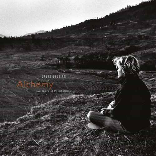 David-sylvian-alchemy-an-index-of-possibilit-new-vinyl