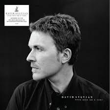 David-sylvian-dead-bees-on-a-cake-new-vinyl