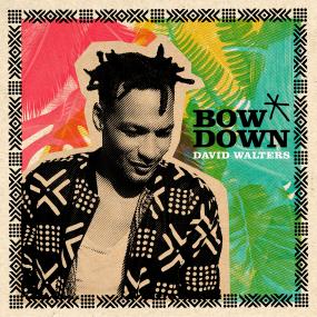 David Walters - Bow Down EP Remixes (New Vinyl)