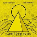 David-wertman-sun-ensemble-earthly-delights-new-vinyl