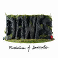 Dawes - Misadventures Of Doomscroller (New CD)