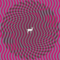 Deerhunter-cryptogramsflourescent-grey-new-vinyl
