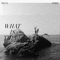 Delta Spirit - What Is There (CLEAR WITH BLACK MARBLING VINYL) (New Vinyl)